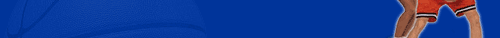 Popup Bot
