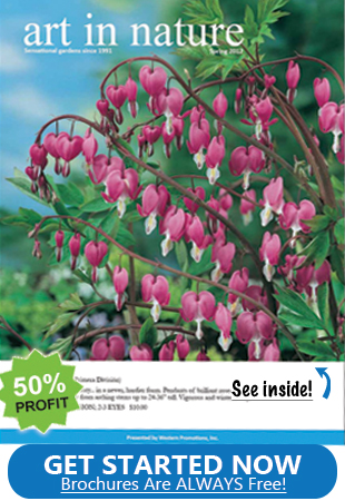 Flower Bulb Special