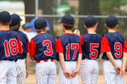 Fundraiser for Little League